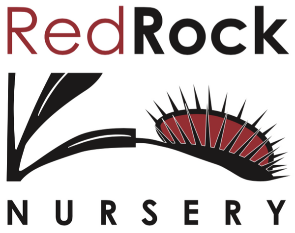 RedRock Nursery 